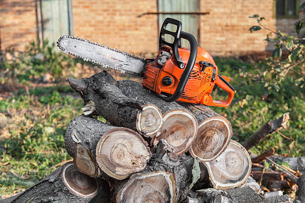 Best Emergency Tree Service  in Raintree Plantation, MO